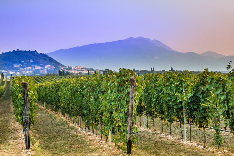 Bardolino - visitar el lago de Garda