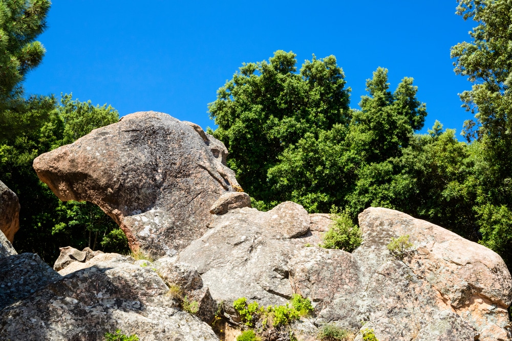 Los maquis de los Calanchi di Piana