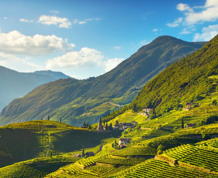 visita Bolzano: viñedos de Lagrein