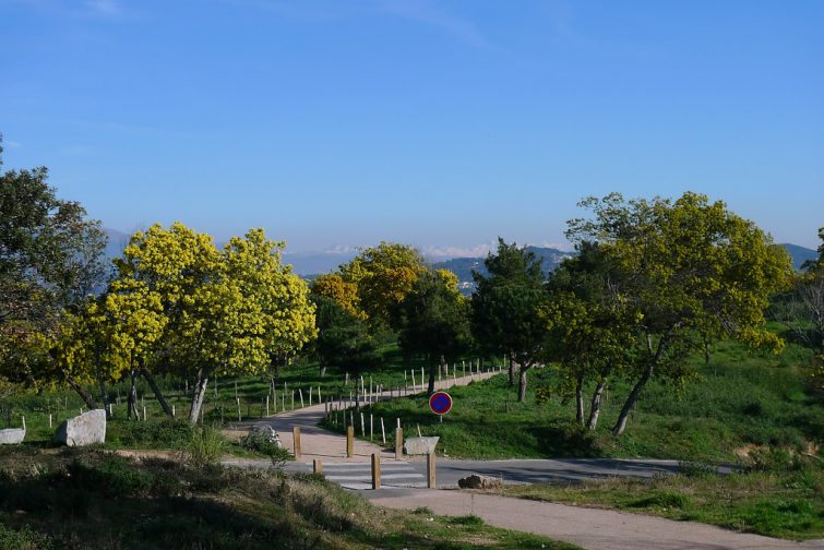 Cruz de Guardia, que ver en Cannes