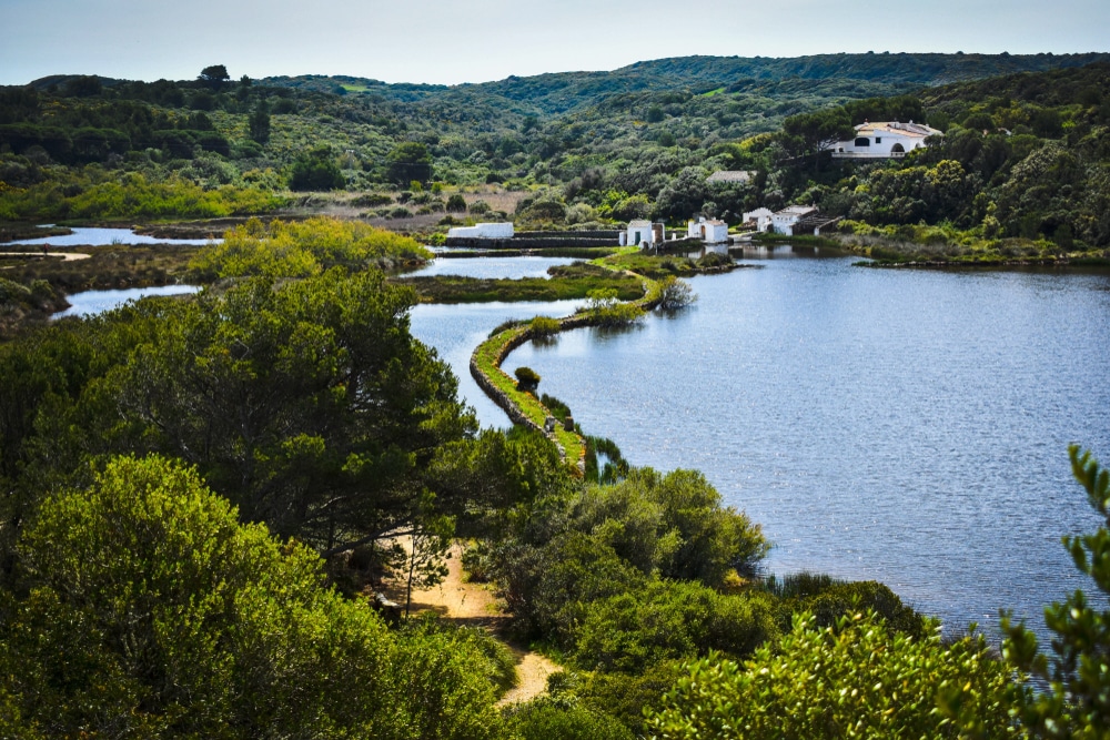 S'Albufera d'es Grau visita Baleares