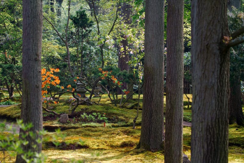 Parque Clingendael, ver La Haya